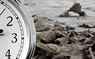 “Master the New Normal: Transform Challenges into Success!”