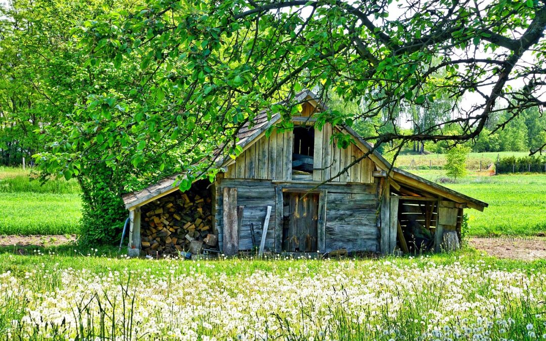“The Tool Shed of the Soul: How Confronting Our Hidden Emotions Leads to Healing”